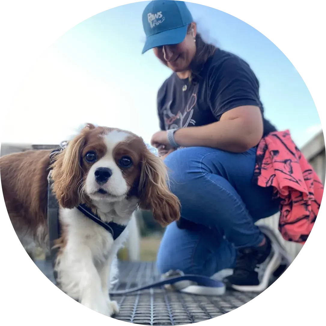 Brooke, founder of Paws and Thrive, with her Cavalier King Charles Spaniel