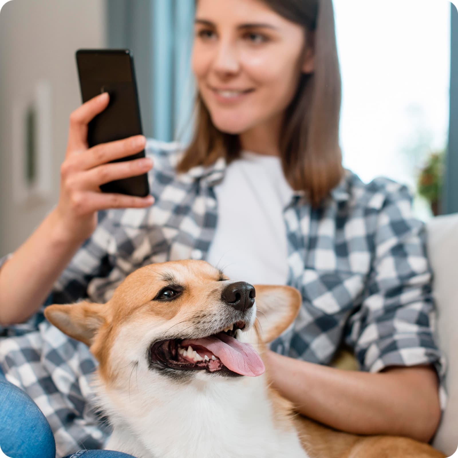Smiling dog owner watching her trainer's homework video on her phone, corgi at her side